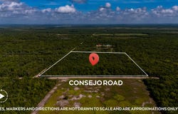 20 Acres Along Belize's Growing Consejo Road Corridor, Corozal Town, Corozal District