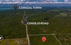 20 Acres Along Belize's Growing Consejo Road Corridor, Corozal Town, Corozal District
