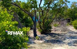 North Caye Caulker, Caye Caulker, Belize District, Caye Caulker, Belize District