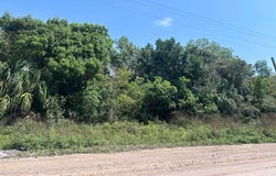 Consejo Road S.E, Consejo, Corozal District