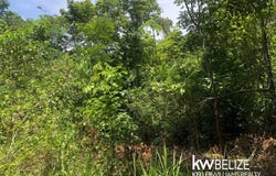 #7 BEAUTIFUL ACRES IN CALLA CREEK, Calla Creek, Cayo District