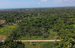 Dangriga, Stann Creek District