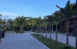 Caye Caulker, Belize