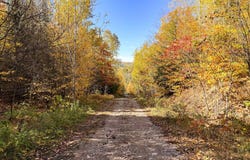 179 Ch. Robertson, La Pêche, Quebec J0X 1S0