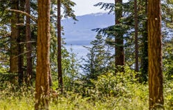 348 Lazo Rd, Comox, British Columbia V9M 3T9