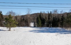 Ch. de la Rive, Ferme-Neuve, Quebec J0W1C0