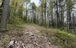 319 Ch. Monette, Cayamant, Quebec J0X1Y0