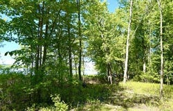 123 Ch. Dion, Pontiac, Quebec J0X2G0