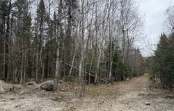 Rue Bégin, Rivière-Rouge, Quebec J0T1T0