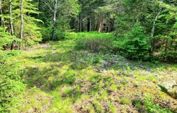 Ch. de la Rivière N., Rivière-Rouge, Quebec J0T1T0
