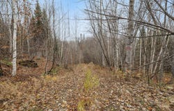 Ch. du Lac-Michel, Cayamant, Quebec J0X1Y0