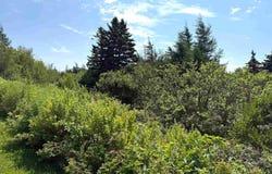 32 Elderberry Drive Lot, Malagash Point, Nova Scotia B0K 1E0