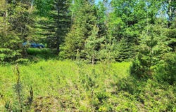 Ch. de la Rivière N., Rivière-Rouge, Quebec J0T1T0