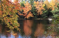 1591 Newburne Road, Newburne, Nova Scotia B0R 1A0