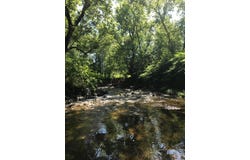 Rue des Bouleaux, Sutton, Quebec J0E2K0