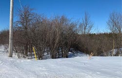 LT 6 ST VINCENT Crescent, Meaford, Ontario N4L 1W7