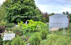 5248 Shore Road, Parkers Cove, Nova Scotia B0S 1A0