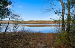 746 Ch. McCann, Sheenboro, Quebec J0X2Z0