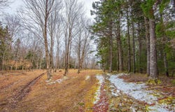 Peter Leblanc Road Lot,, Meteghan, Nova Scotia B0W 2J0