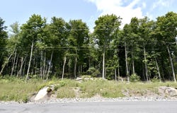 Ch. du Mitik, Mont-Tremblant, Quebec J8E 2H8
