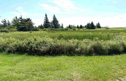 32 Elderberry Drive Lot, Malagash Point, Nova Scotia B0K 1E0