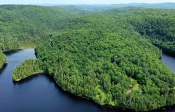 Ch. du Lac-Alphonse, La Minerve, Quebec J0T1S0
