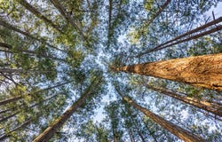 8 Windham Rd, Lasqueti Island, British Columbia V0R 2J0