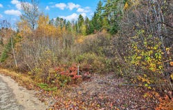 Ch. du Lac-Hénault N., Mandeville, Quebec J0K1L0