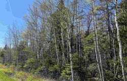 4 Highway 509 Lot, Lower Maccan, Nova Scotia B0L 1B0