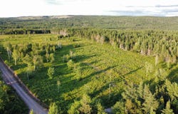 1 Whycocomagh-Port Hood Road Lot, Mabou, Nova Scotia B0E 1X0