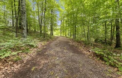 96 Ch. du Barrage, Val-des-Monts, Quebec J8N5E3