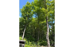 59 Ch. Nancy, Notre-Dame-des-Bois, Quebec J0B2E0