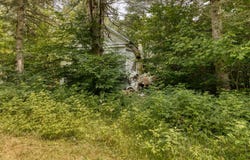 3241 Rg St-André, Saint-Cuthbert, Quebec J0K 2C0