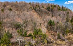Ch. de la Montagne, Sainte-Agathe-des-Monts, Quebec J8C0J6