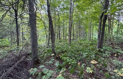Rue Bigras, Brownsburg-Chatham, Quebec J8G1A2