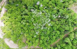 10 Ch. de la Côte, Trois-Rives, Quebec G0X2C0