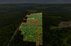 Route Laflamme, Saint-Luc-de-Bellechasse, Quebec G0R1L0