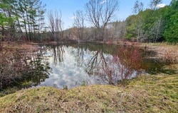 16568 MOUNT HOPE Road, Caledon, Ontario L7E5R8
