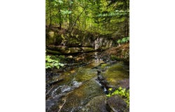 Ch. de Shrewsbury, Gore, Quebec J0V1K0