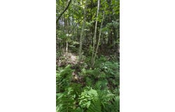 Rue DeChantal, Saint-Lucien, Quebec J0C1N0