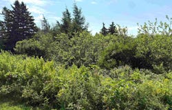 32 Elderberry Drive Lot, Malagash Point, Nova Scotia B0K 1E0