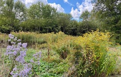 Rue des Bouleaux, Sutton, Quebec J0E2K0