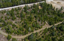 Whitetail Drive Lot 5, Chester Basin, Nova Scotia B0J 1K0