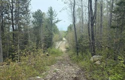 319 Ch. Monette, Cayamant, Quebec J0X1Y0