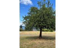 3824 Ross Ave, Royston, British Columbia V0R 2V0