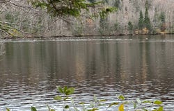 Ch. de la Tranquillité, Saint-Ubalde, Quebec G0A4L0