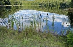 Rue Bigras, Brownsburg-Chatham, Quebec J8G1A2