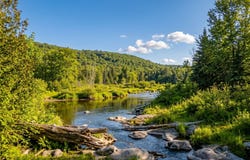1280 Route 364, Morin-Heights, Quebec J0R1H0