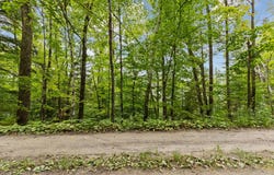 Ch. des Mésanges, Gracefield, Quebec J0X1W0