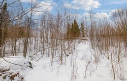 Ch. Tremblay, Amherst, Quebec J0T2L0